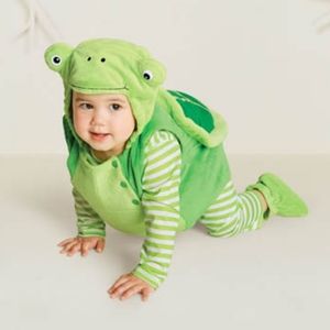 Hide and Eek: Turtle Costume